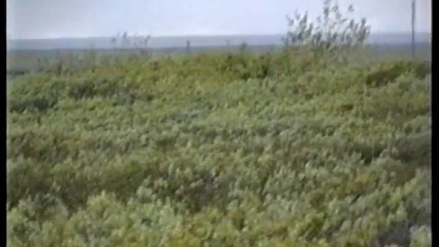 ВОРКУТА ПРОМЫШЛЕННЫЙ смотреть онлайн