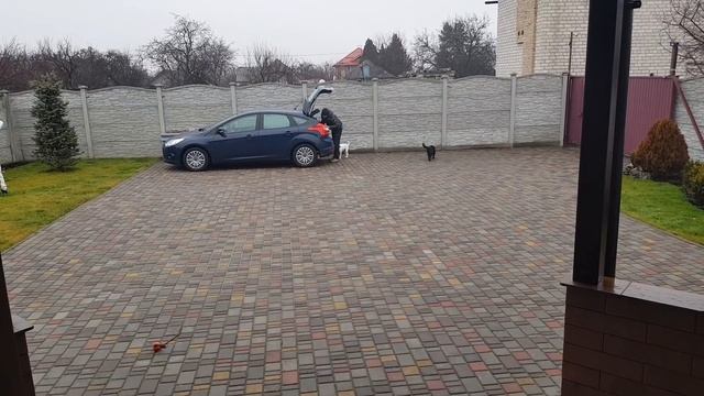 Забрал подарки ? на Новый Год ! Купил лекарство Чарли смотреть онлайн