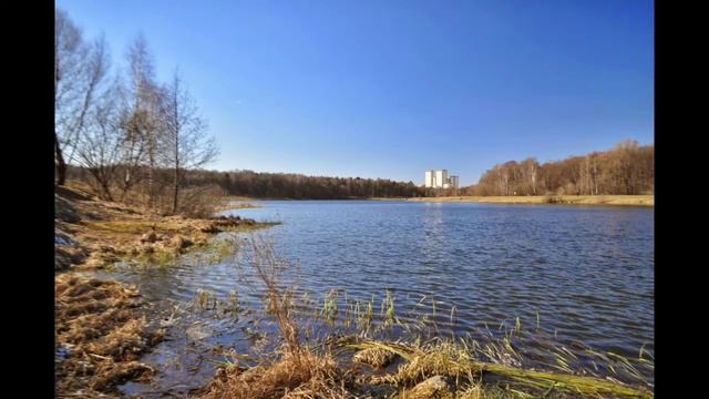 Памяти Юрьича 19.01.1955 - 09.03.2022 смотреть онлайн