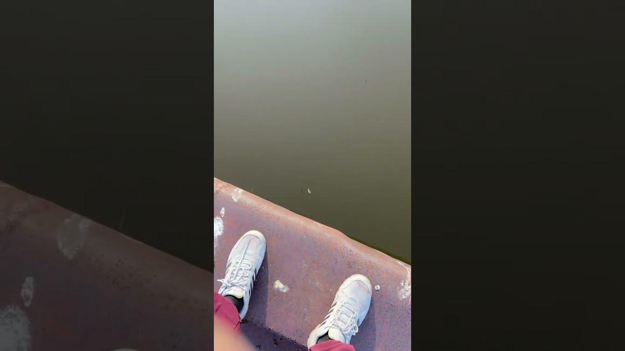 21 июня 2024 г.