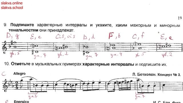 Калинина тетрадь 6 класс РЕШЕБНИК + Подробные объяснения смотреть онлайн