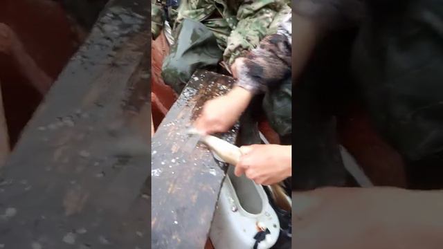 Удачная рыбалка в таёжной речке) смотреть онлайн