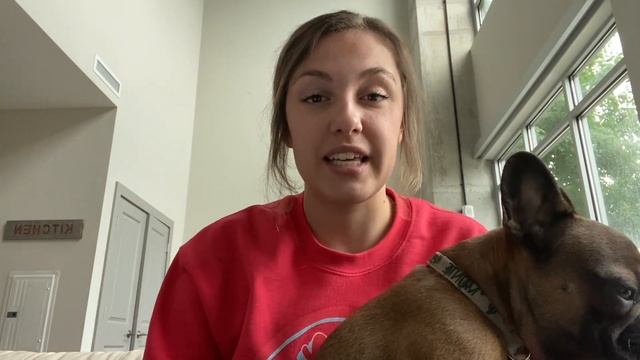 EMERGENCY Vet Experience | STORY TIME смотреть онлайн