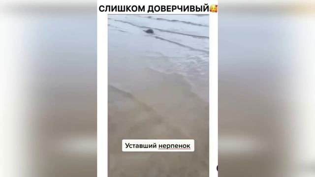 Это Россия, детка смотреть онлайн