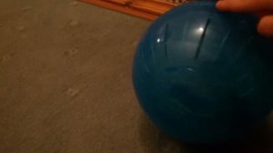 Как научить хомяка бегать в шаре .