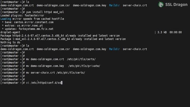 How to install an SSL Certificate on CentOS | SSL Dragon смотреть онлайн