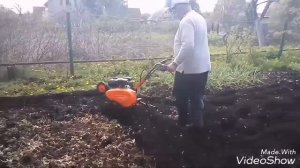 Культиватор Daewoo DAT 5560R.  Обзор: от покупки и до укомплектования колесами.