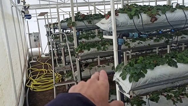 Зима на Кубани. Весело только детям. Подвожу итоги очередного снегопада. смотреть онлайн