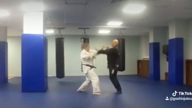 Госиндзюцу айкидо(суми отоши кокю наге). смотреть онлайн