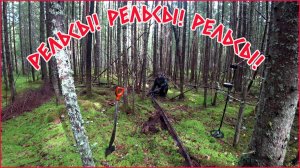 МЫ ДУМАЛИ ПРОСТО ПОГУЛЯЕМ ПО ЛЕСУ, А ПРИШЛОСЬ ЦЕЛЫЙ ДЕНЬ ТАСКАТЬ РЕЛЬСЫ!!! УДАЧНЫЙ КОП МЕТАЛЛА!
