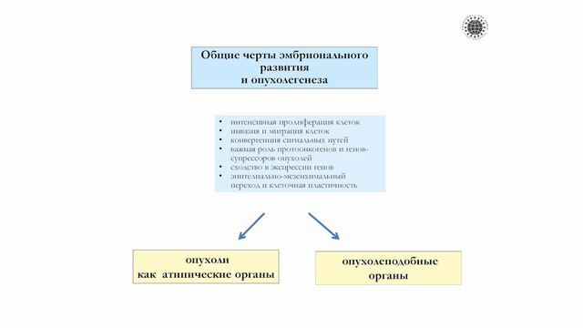 The role of inherited tumors in evolution | Andrew Kozlov | TEDxSPbPU смотреть онлайн
