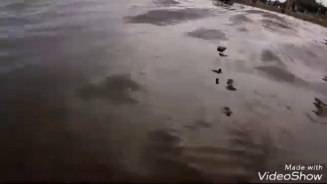 Купаюсь на ладоге #ладожскоеозеро , #мирмаяков смотреть онлайн