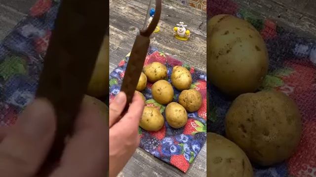 УМЕЙ_ГОТОВИТЬ