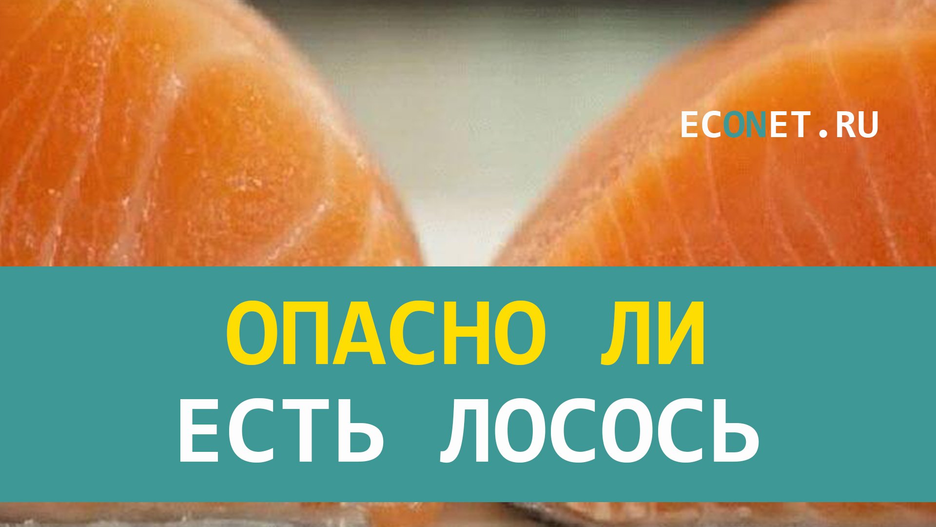 Опасно ли есть лосось.