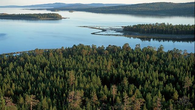 Kandalaksha Nature Reserve | Wikipedia audio article смотреть онлайн