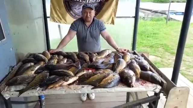 Карповая рыбалка в Братовщине смотреть онлайн