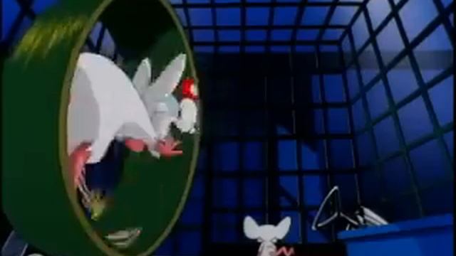 Pinky & The Brain - What Do You Want To Do Today? смотреть онлайн