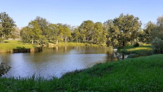 Диктант с проверкой 5 класс смотреть онлайн