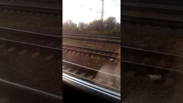 Едем на поезде чух чух смотреть онлайн