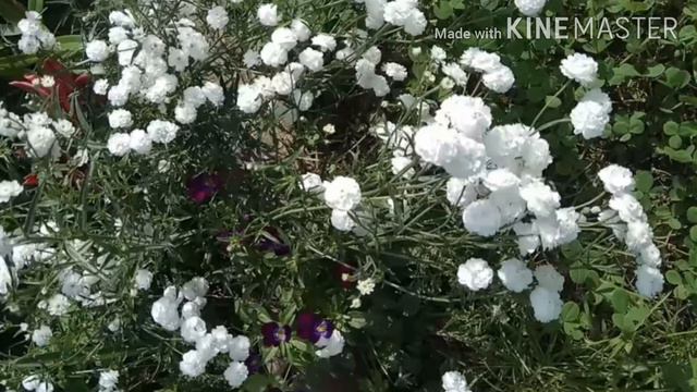 Мелодии для романтичного настроения, релакс музыка пианино / музыка для души смотреть онлайн