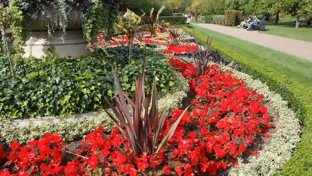 LONDON'S stunning fountains ⛲ and gardens at ?️ REGENT'S PARK, let's go! смотреть онлайн