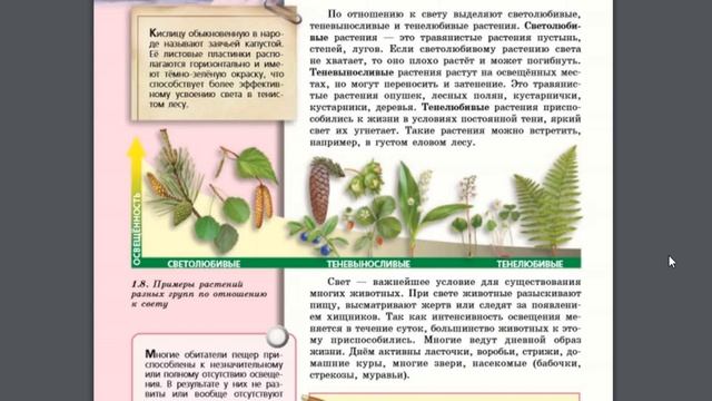 Биология (Л.Н.Сухорукова) 5-6к §7 Наземно-воздушная среда жизни смотреть онлайн