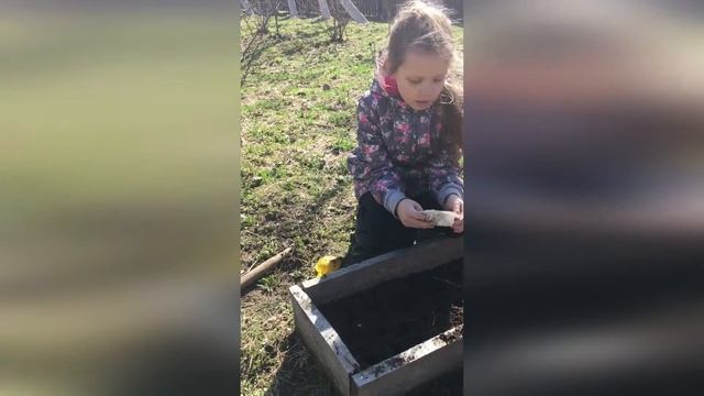 Живая изгородь/Посадка древовидной гортензии/ грядка доченьки/Игры смотреть онлайн