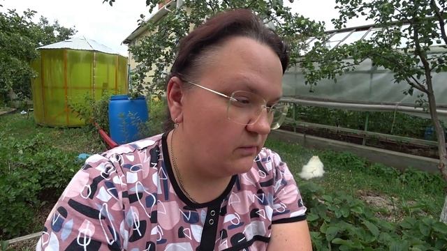 Уход за клубникой в июле-августе смотреть онлайн