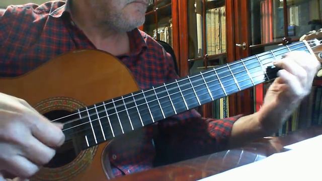 Torna A Surriento- composed by E.De Curtis-Guitar arrangement by Peppe Bruno- смотреть онлайн