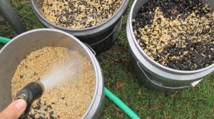 Можно ли давать курам семечки подсолнуха