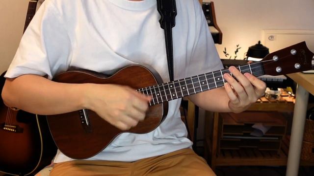 Shape of my heart - sting Ukulele смотреть онлайн