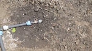 Лента туман (Golden Spray) Полив  огорода. Опыт эксплуатации.