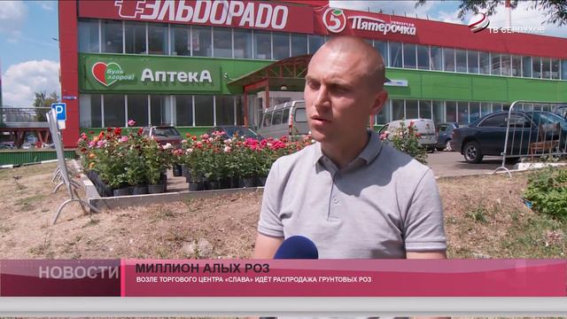 Миллион алых роз смотреть онлайн