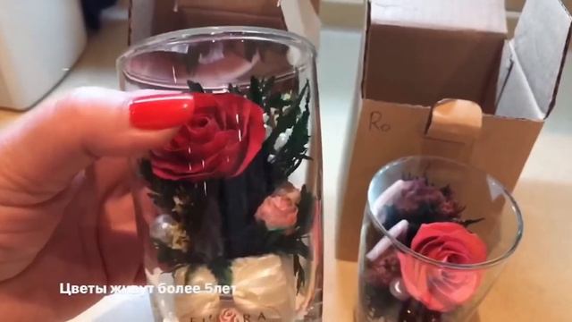 Флористика (хобби) смотреть онлайн