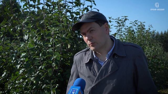 Какие сорта плодовых деревьев лучше выбрать для своего участка и получить богатый урожай смотреть онлайн