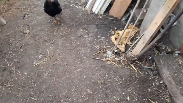 Субботний субботник... смотреть онлайн