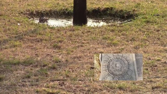 60. Aurangabad, Bibi Taj Mahal/Прогулка по Аурангабаду,Звезда Давида. смотреть онлайн