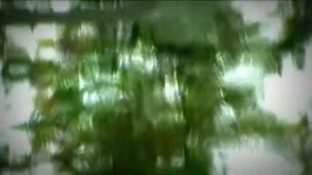 Sea region of Abkhazia in Georgia,Море районе Абхазии в Грузии,საქართველოს ზღვა აფხაზეთის რეგიონში. смотреть онлайн