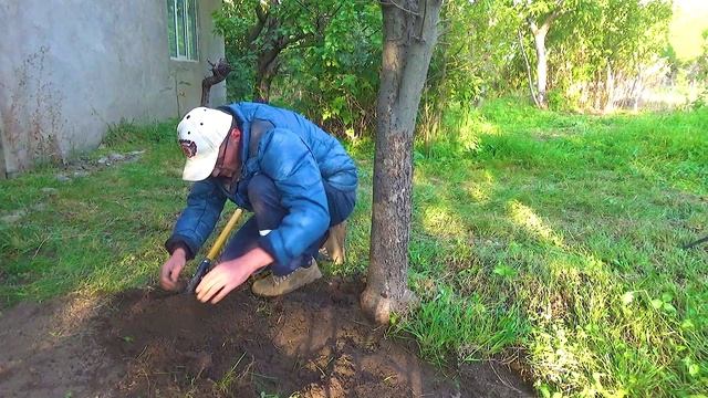 15 Этот камень я выкопал (1).mp4 смотреть онлайн
