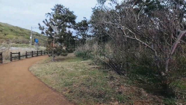 Sakura Cover (Naotaro Moriyama) смотреть онлайн