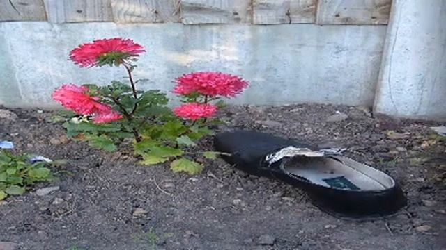 Интернет Магазин Обуви Grand Style смотреть онлайн