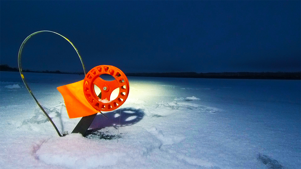 В ШОКЕ ОТ ТАКОЙ РЫБАЛКИ! ВСЕ РУКИ В КРОВИ ОТ НЕЁ! ТРОФЕЙНАЯ РЫБАЛКА НА ЩУКУ - РЫБАЛКА НА ЖЕРЛИЦЫ