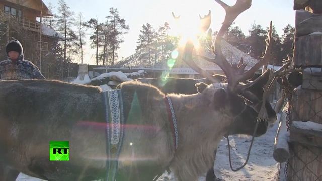 В Оймяконе открылась резиденция якутского хранителя холода Чысхаана 1