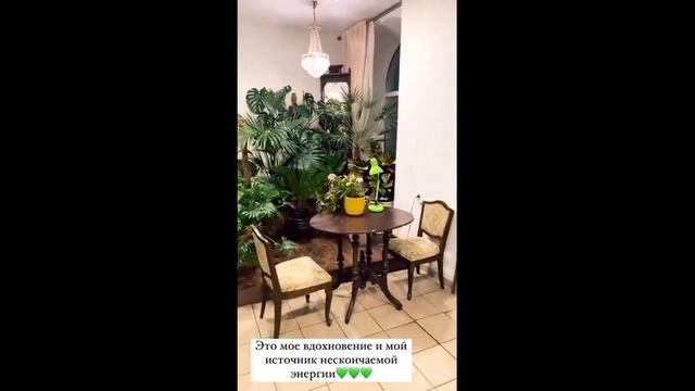 Мое зеленое пространство PLANTS ZASTEKLOM смотреть онлайн