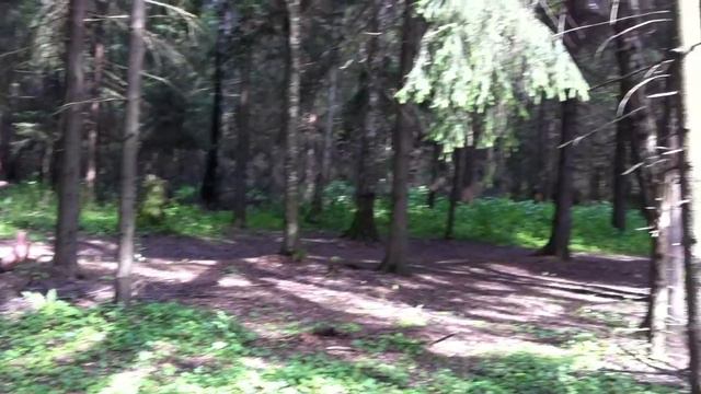 маг 10ого уровня смотреть онлайн