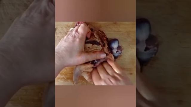 Вкусный Рецепт ?Дикой Утки с орехами. Ördək ? colməsi. #tasty #food #baku смотреть онлайн