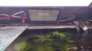 Прожектора в аквариуме под крышкой
