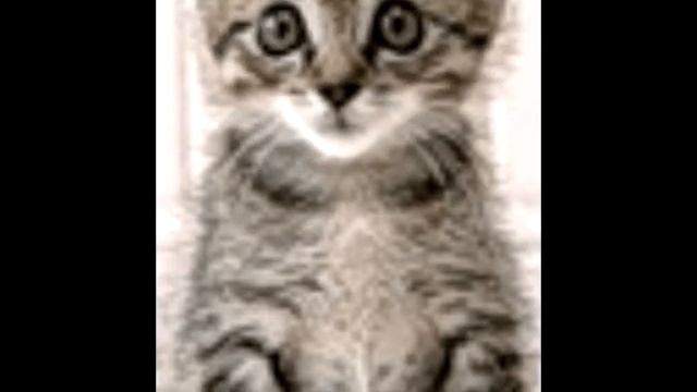 ЮТУБЧИК МОЙ (YouTube)СОБСТВЕННЫЙ СТИХ смотреть онлайн