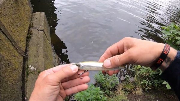 Gan Craft REST 128SL - Minnow für alle!