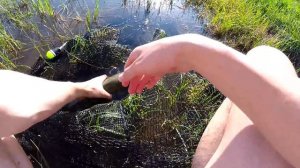 Ловля толстолоба на технопланктон (ТОЛСТОЛОБ 6,7 кг).Рыбалка.Fishing